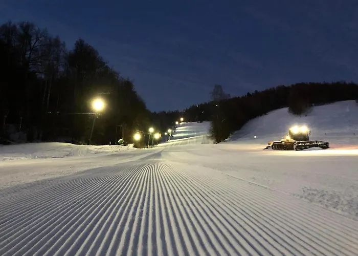 Maison d'hôtes A Skipark Hrabesice 3*