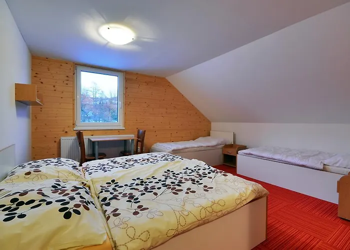 Maison d'hôtes A Skipark Hrabesice 3*