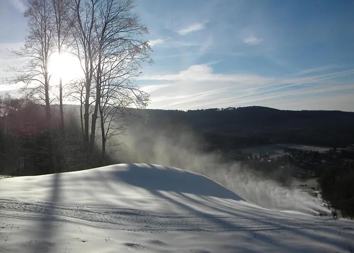 Maison d'hôtes A Skipark Hrabesice Krasne